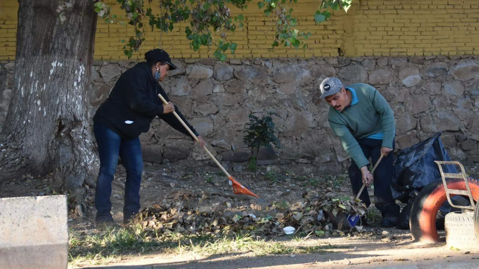 servicios públicos limpieza de espacios 1